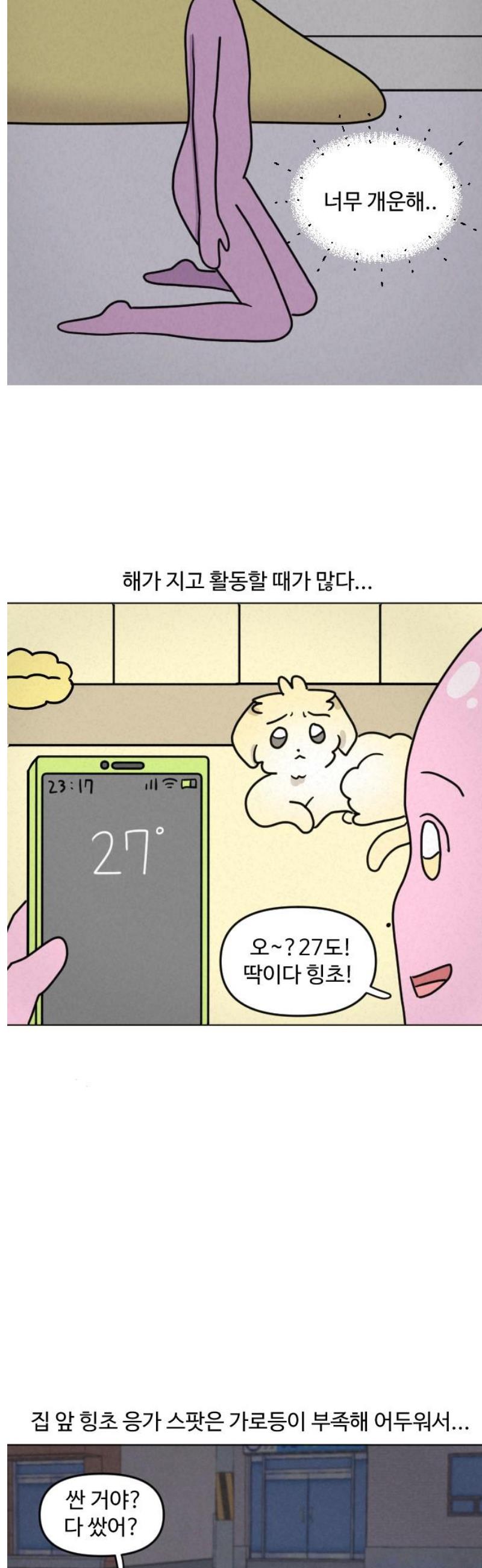 009.jpg