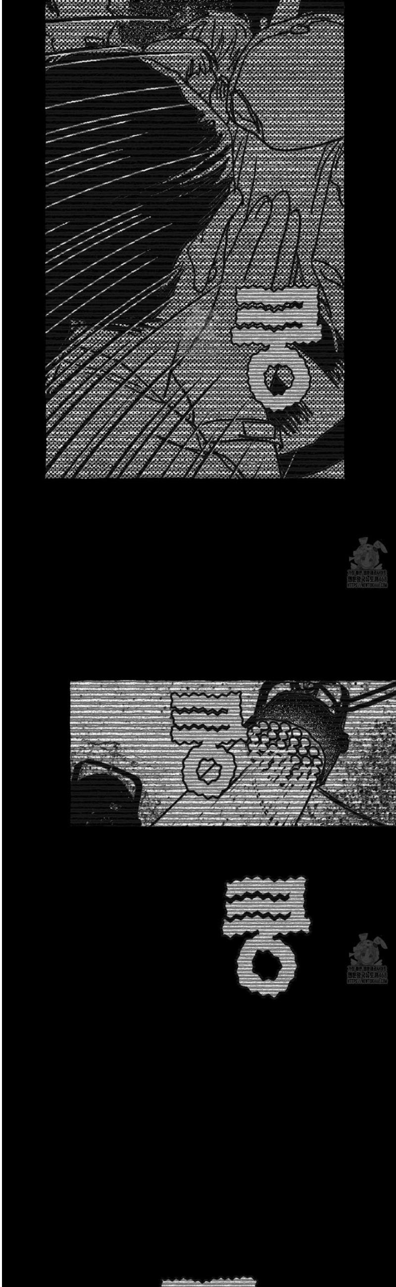 005.jpg