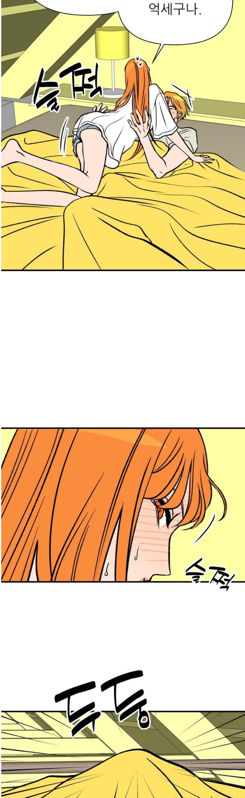 005.jpg