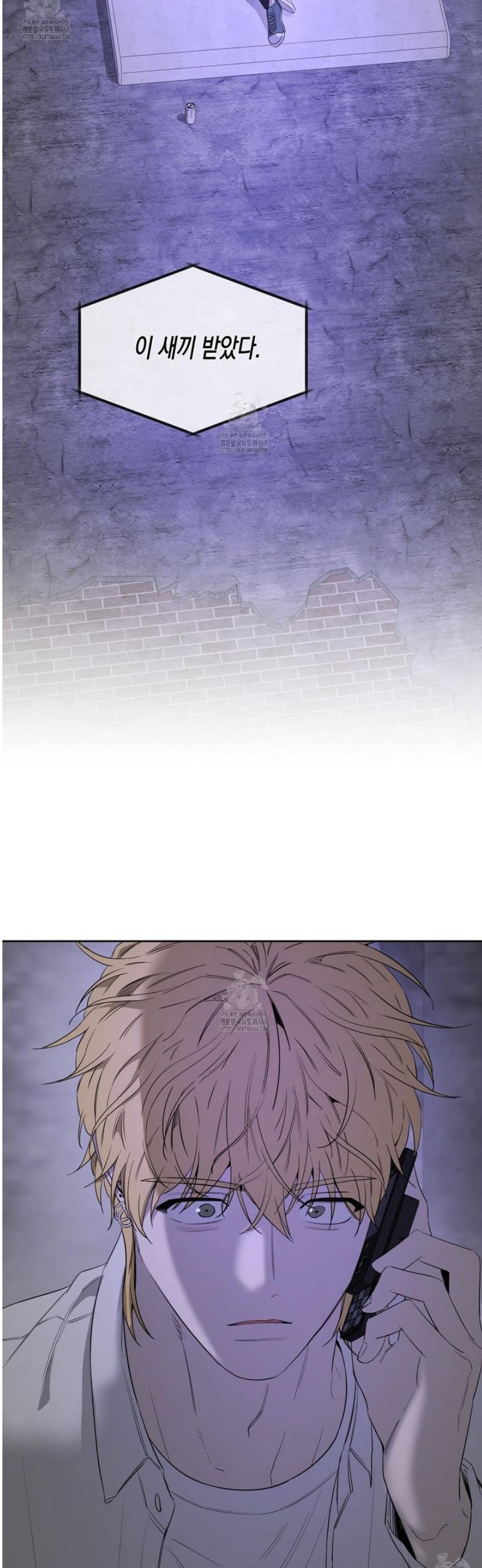 005.jpg