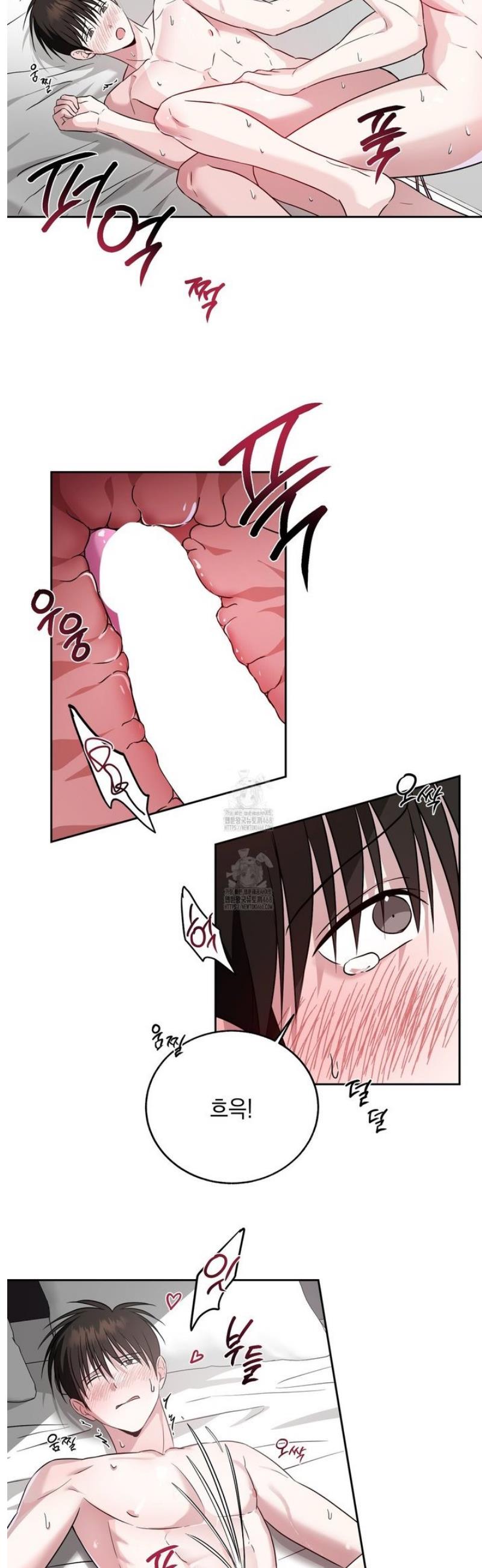 009.jpg