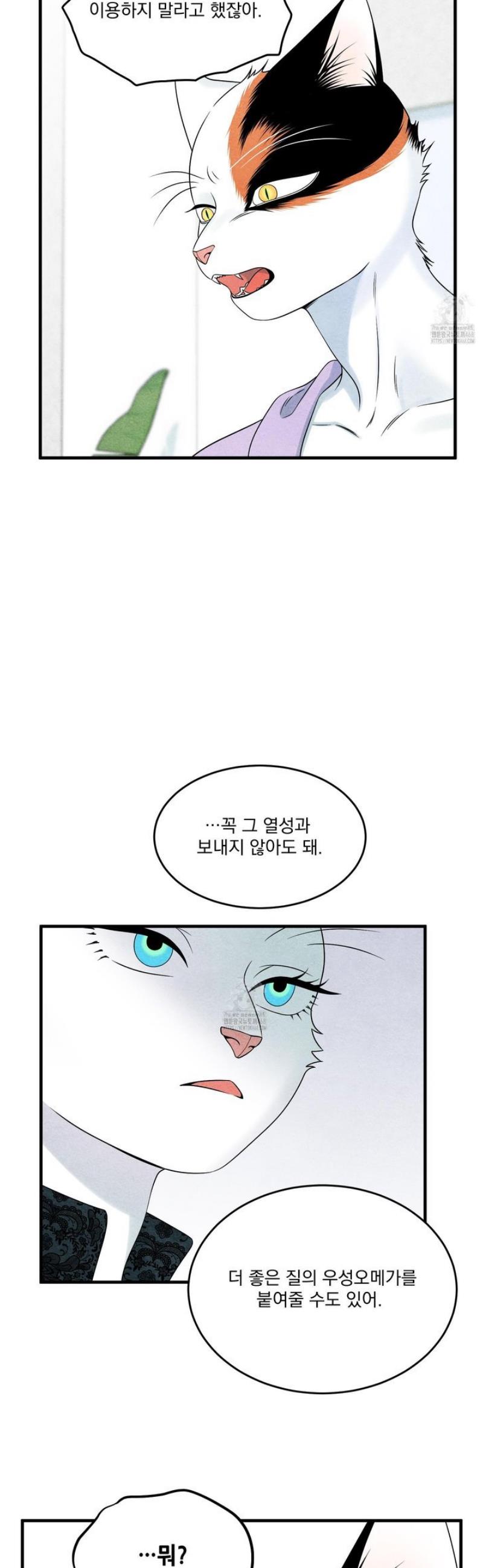 007.jpg