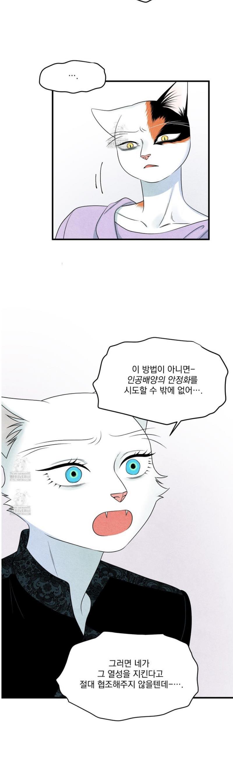 009.jpg