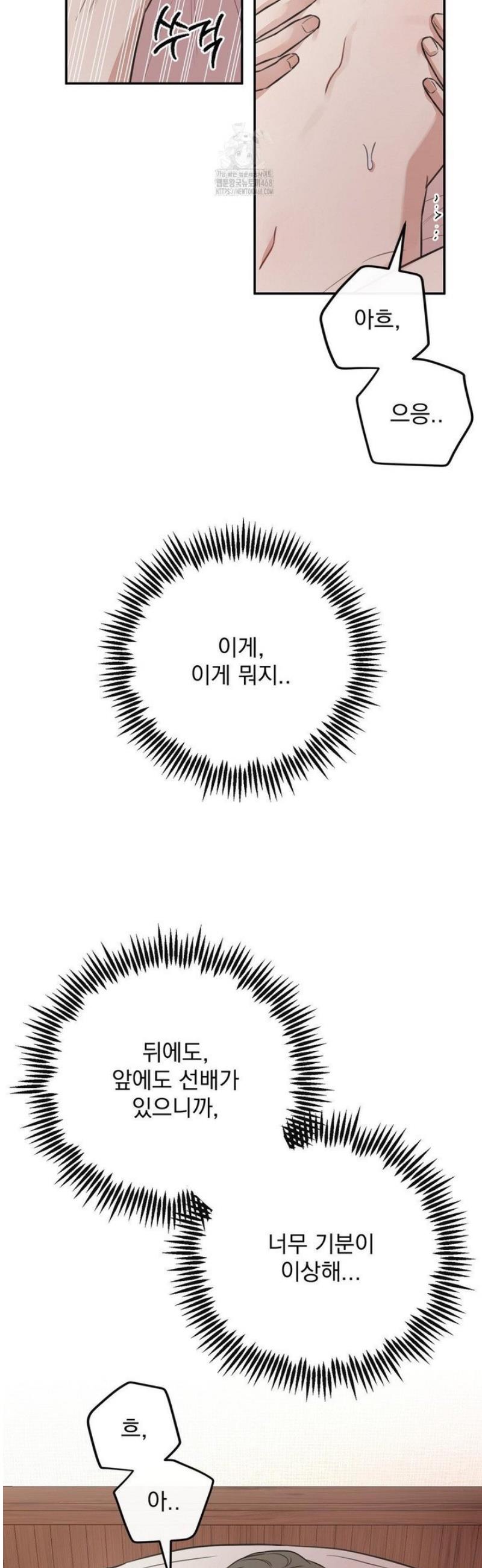004.jpg
