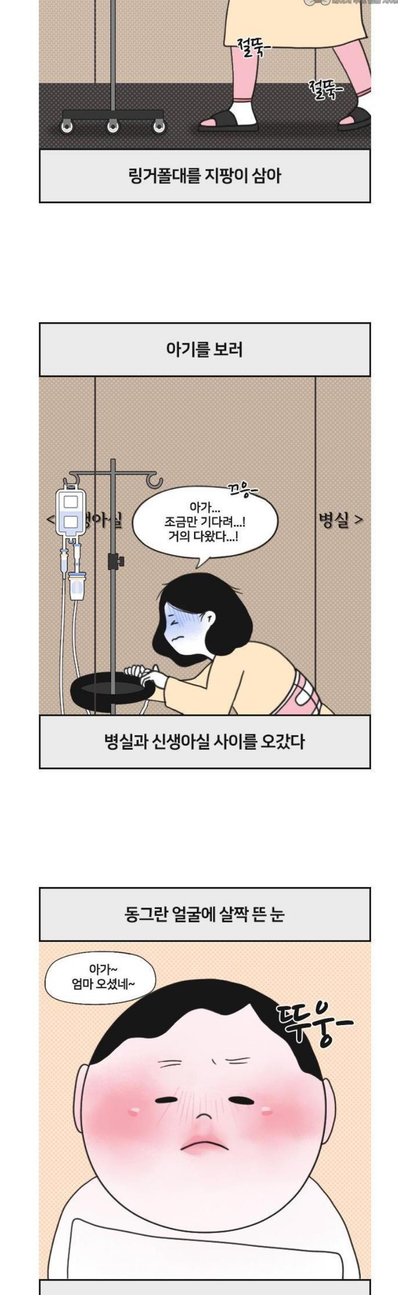004.jpg