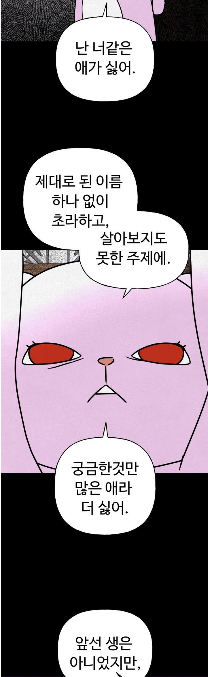 031.jpg