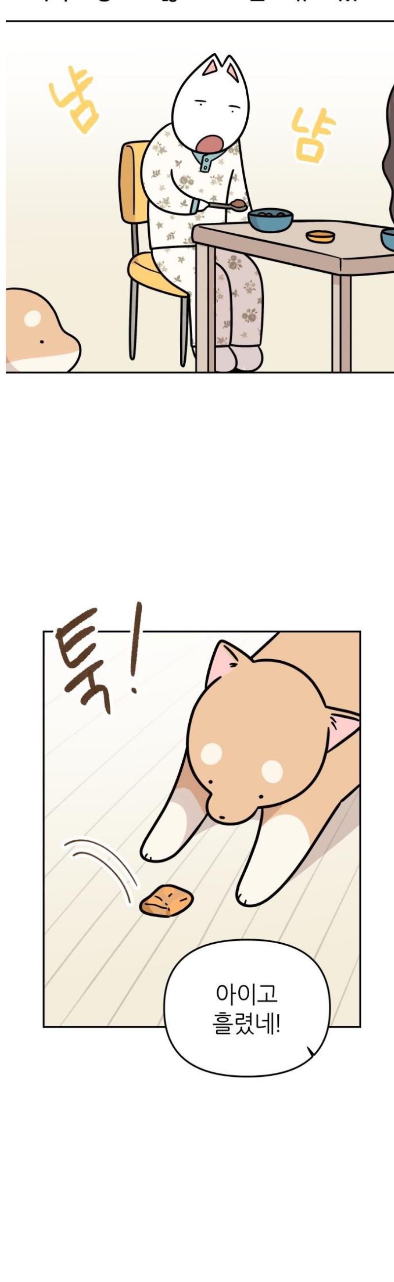 005.jpg