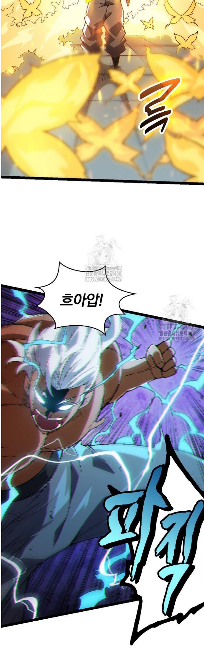 002.jpg
