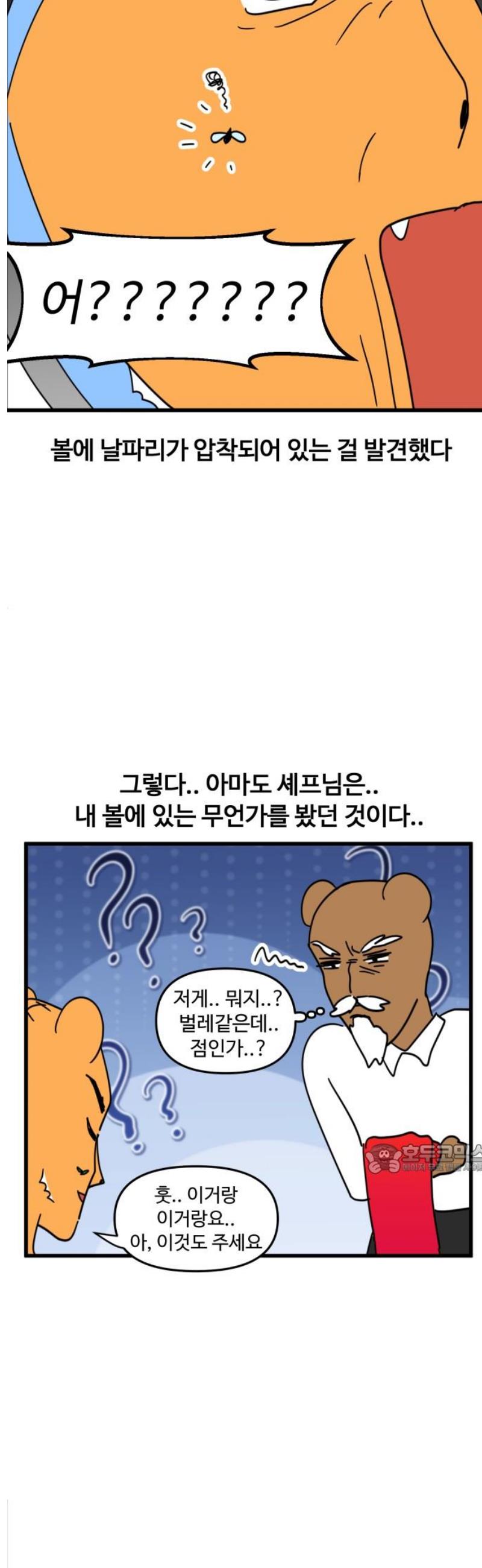 010.jpg