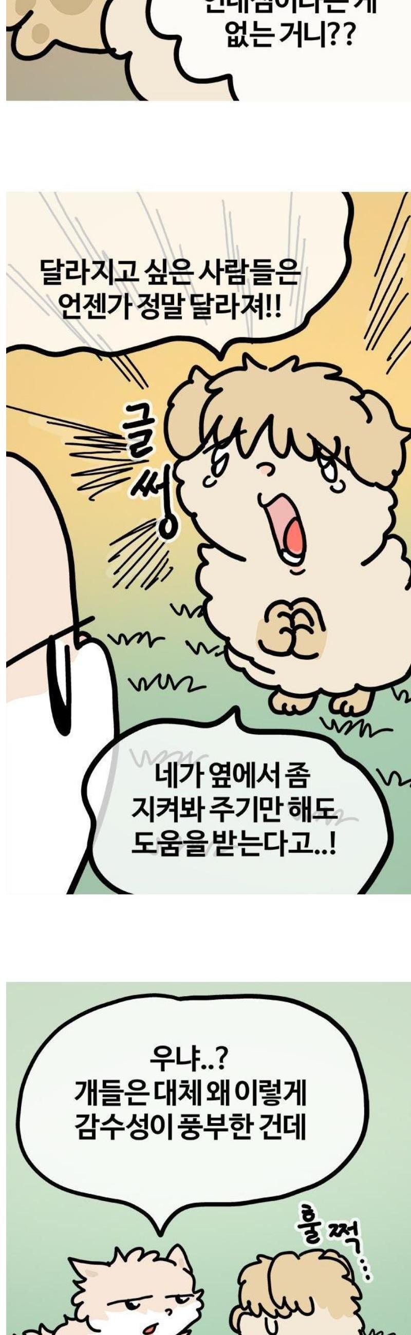 010.jpg