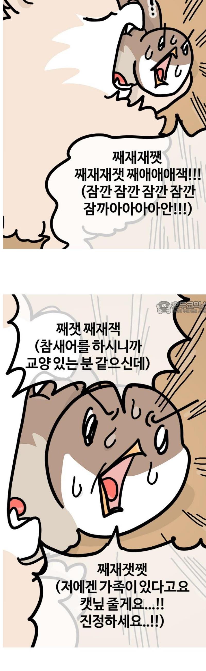 006.jpg