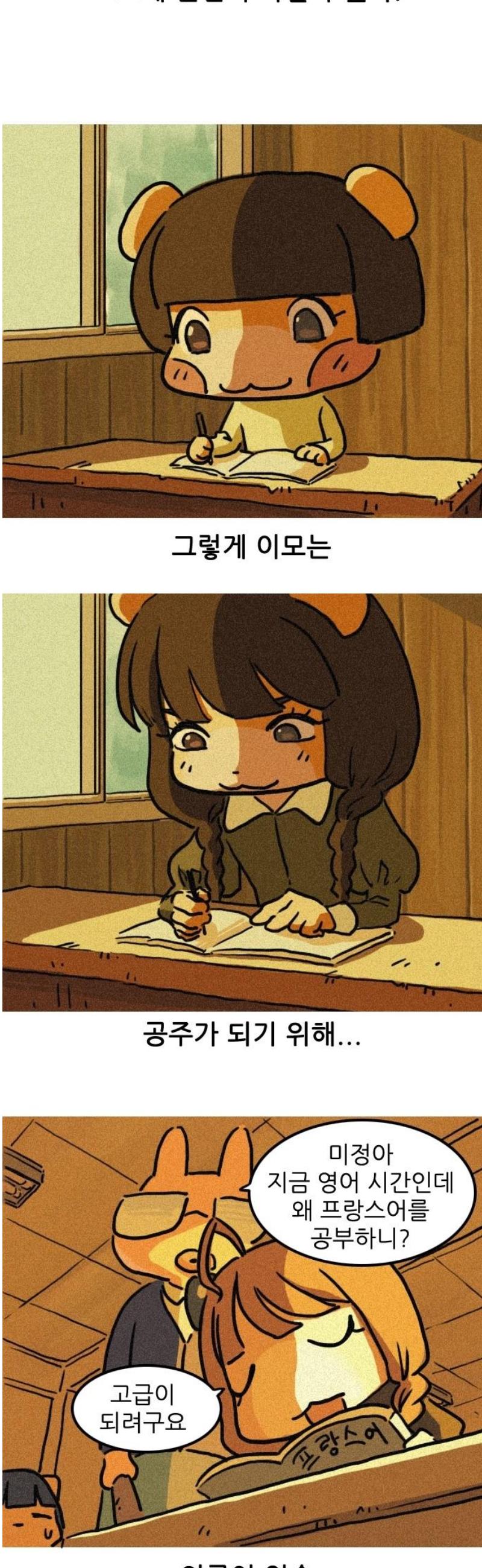 005.jpg