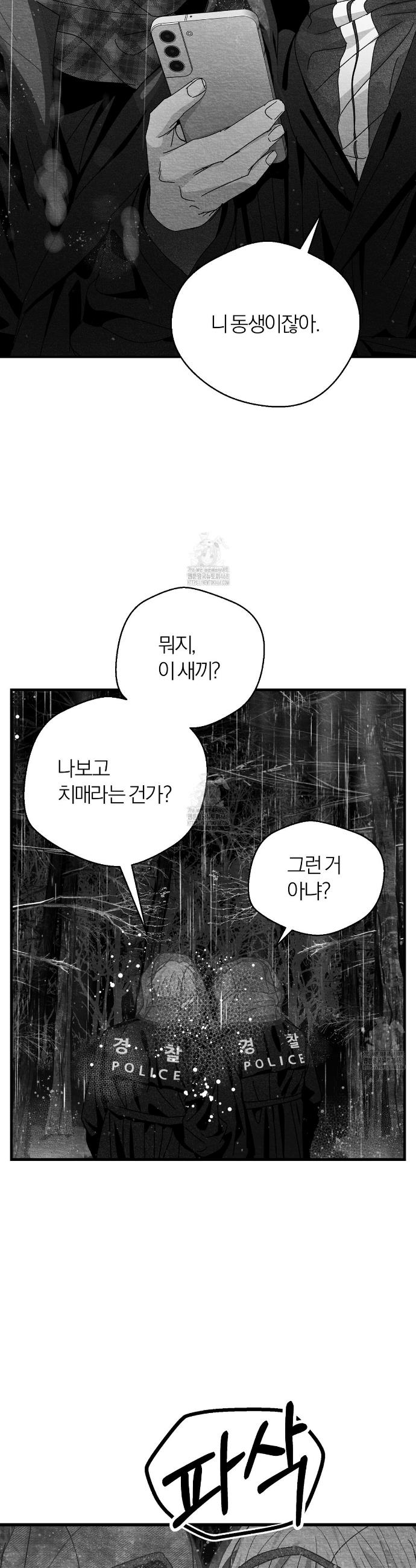 010.jpg