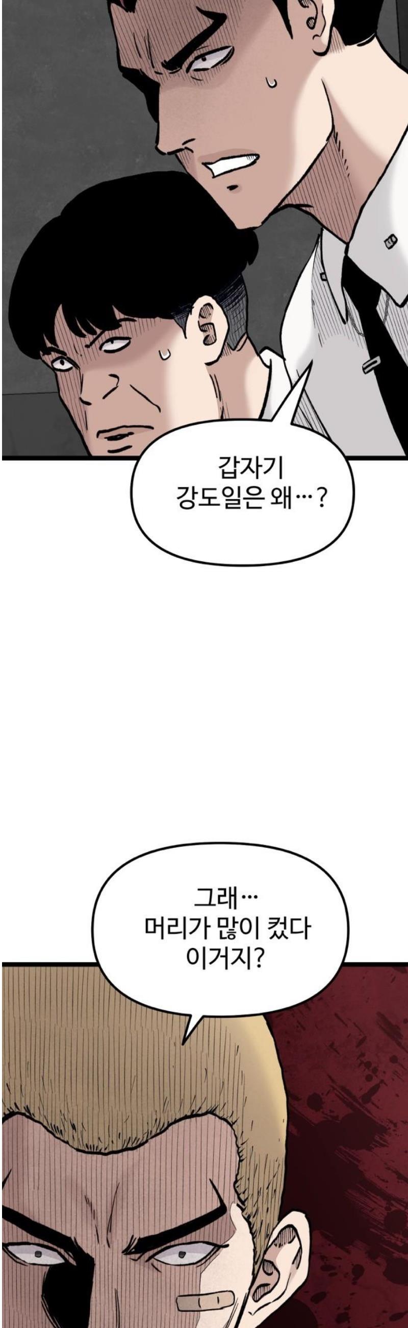 010.jpg