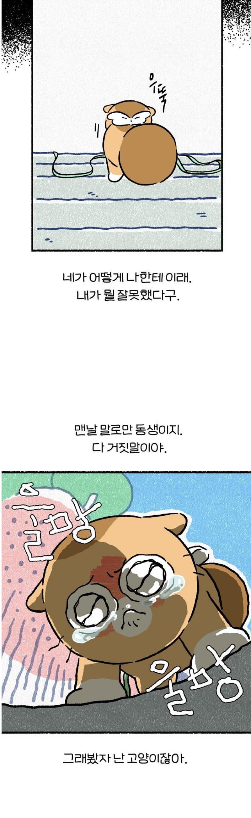 006.jpg