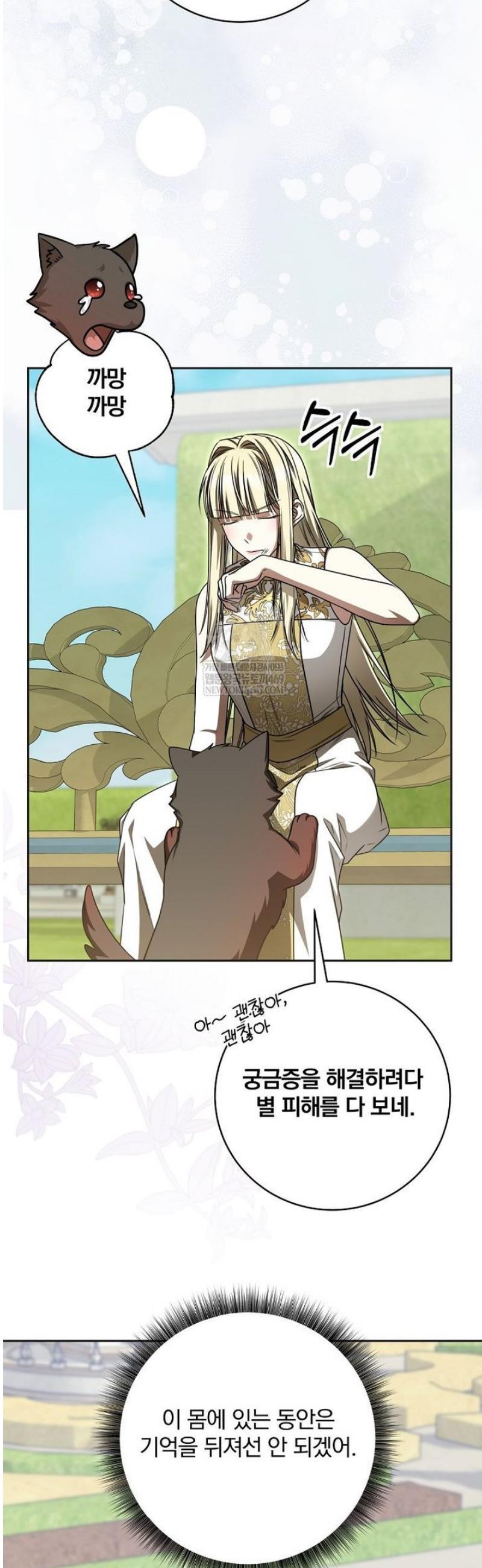 006.jpg