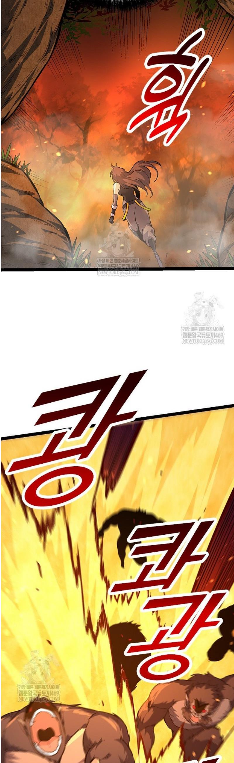 003.jpg