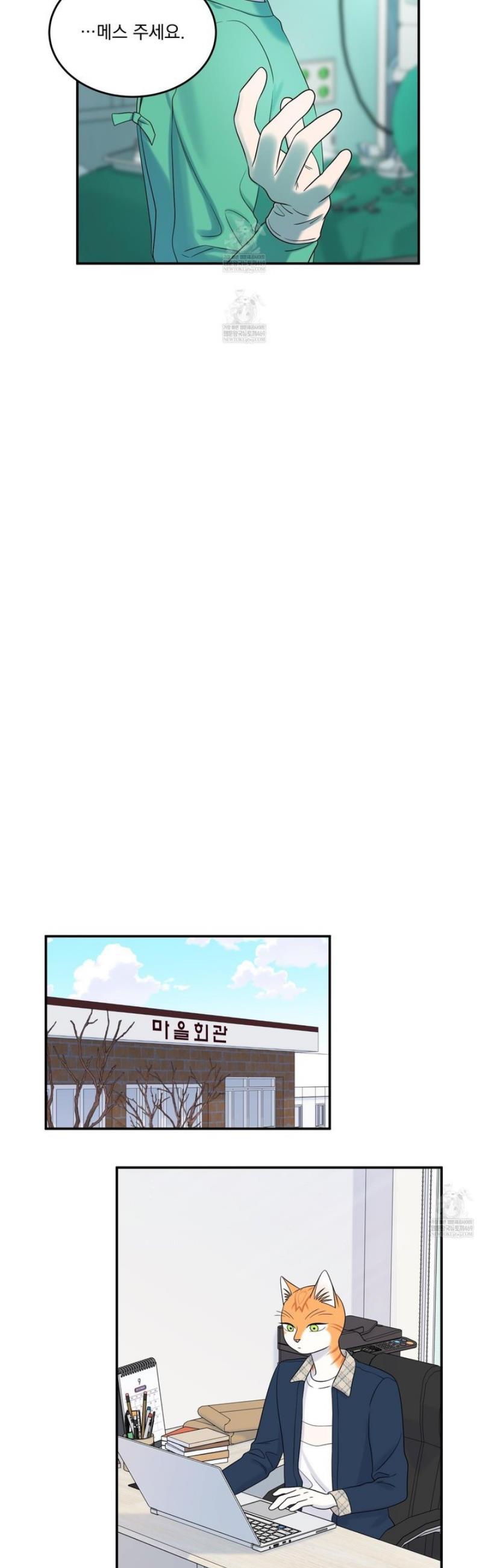 003.jpg