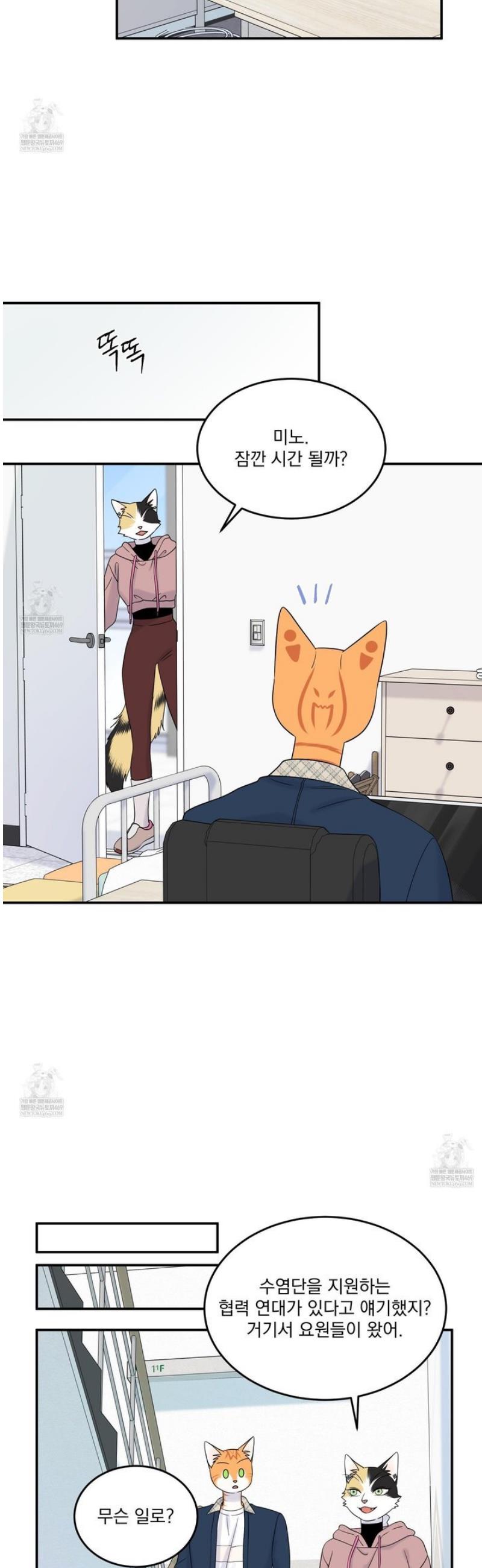 004.jpg
