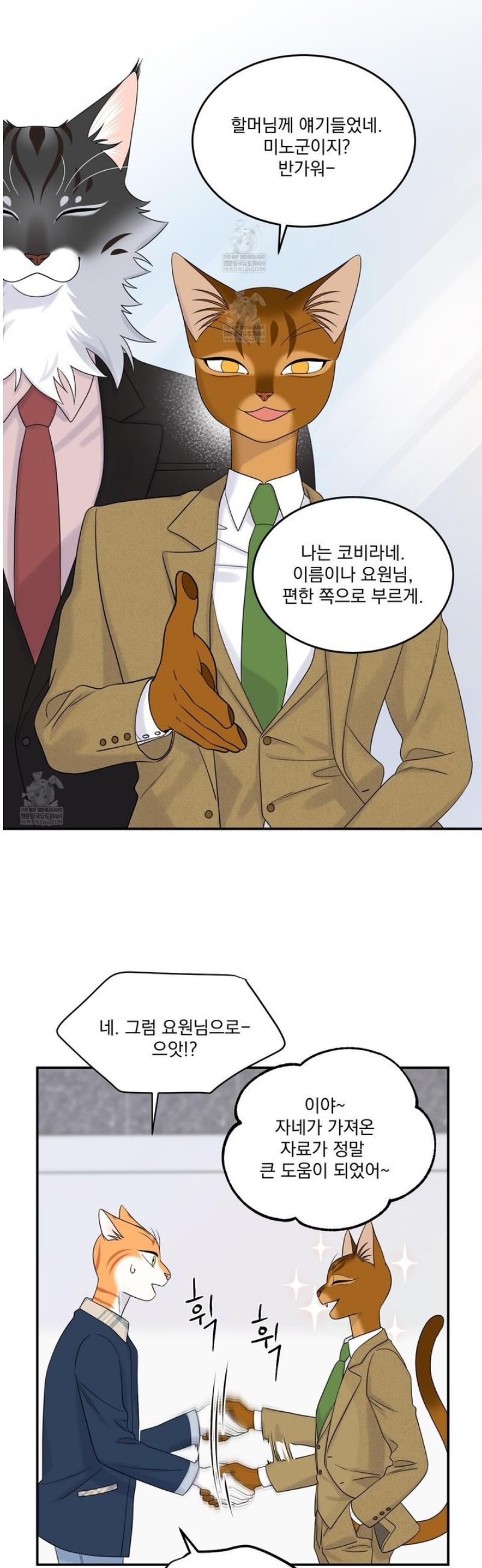 007.jpg