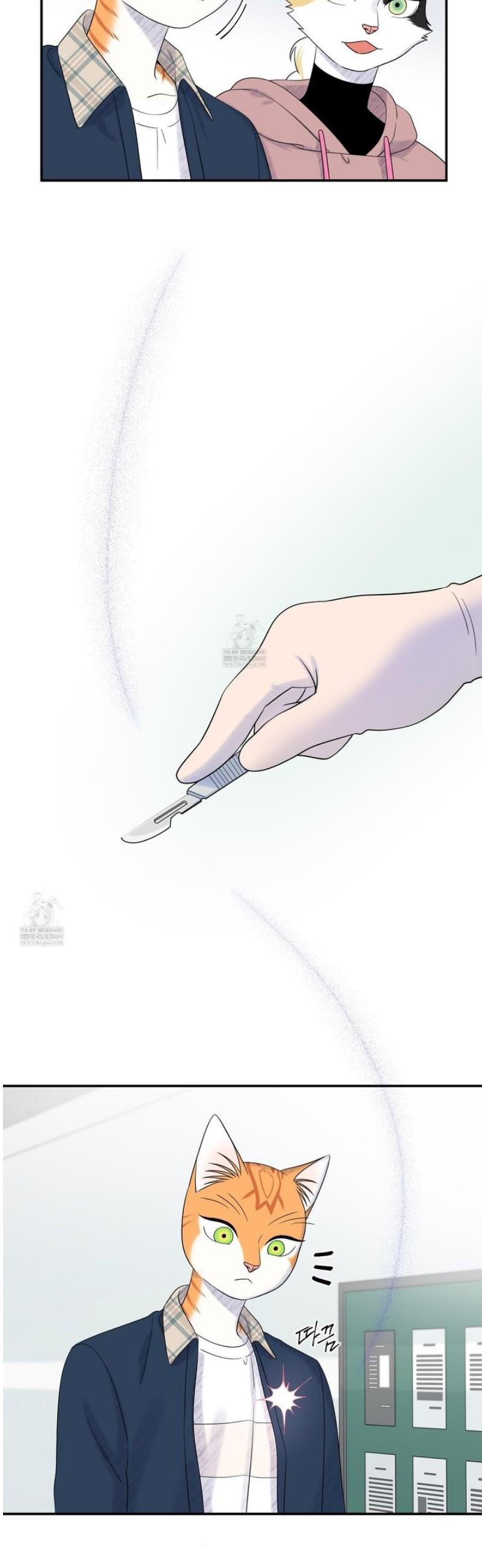 010.jpg