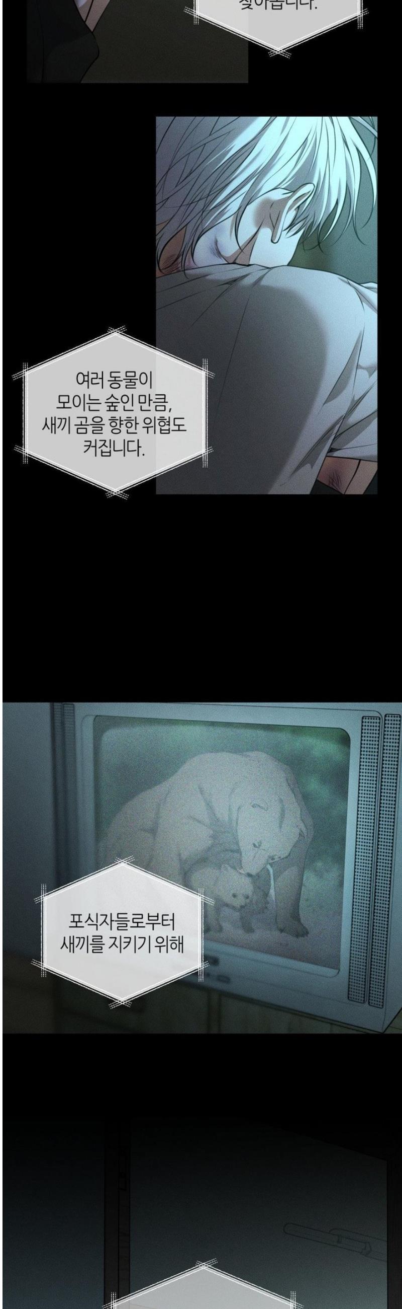 003.jpg