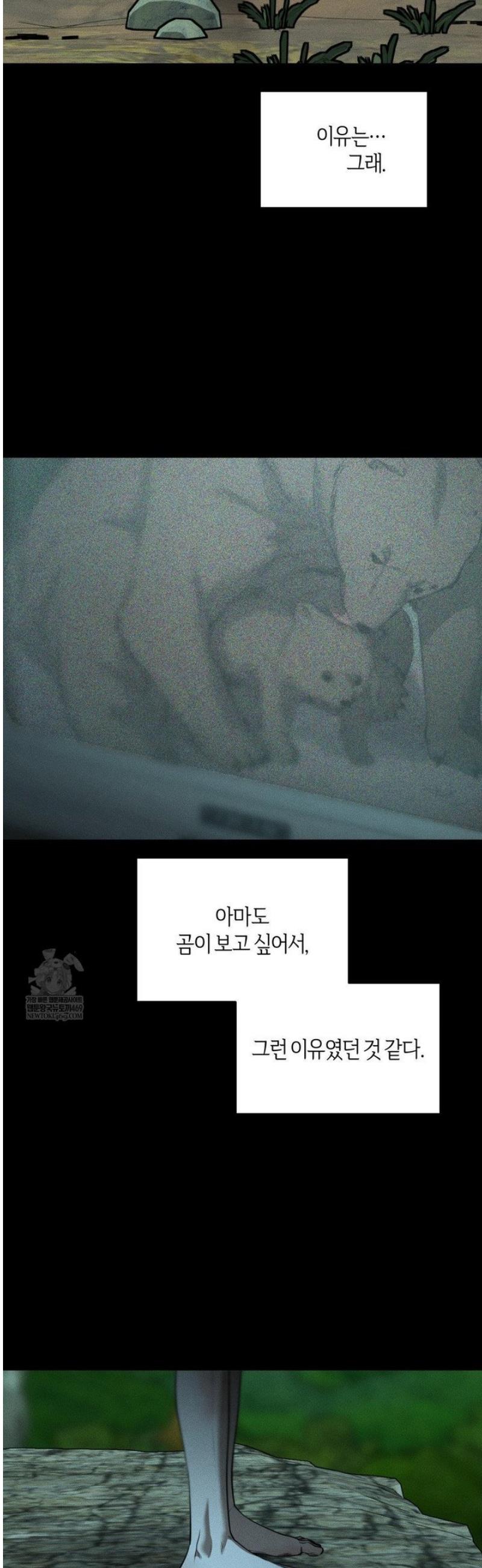031.jpg