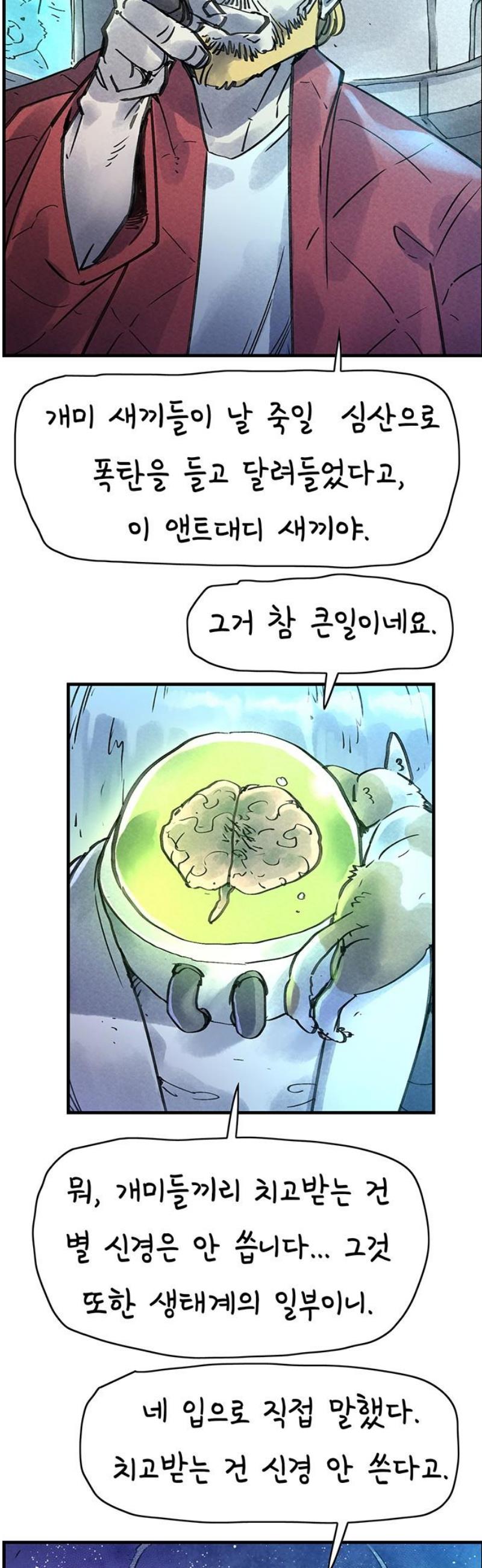 005.jpg