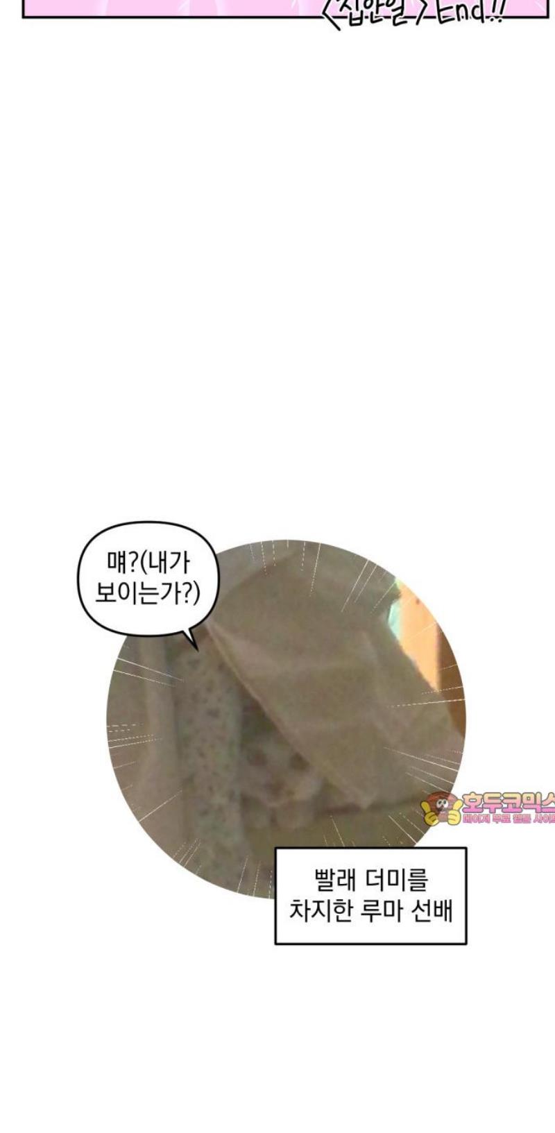 013.jpg
