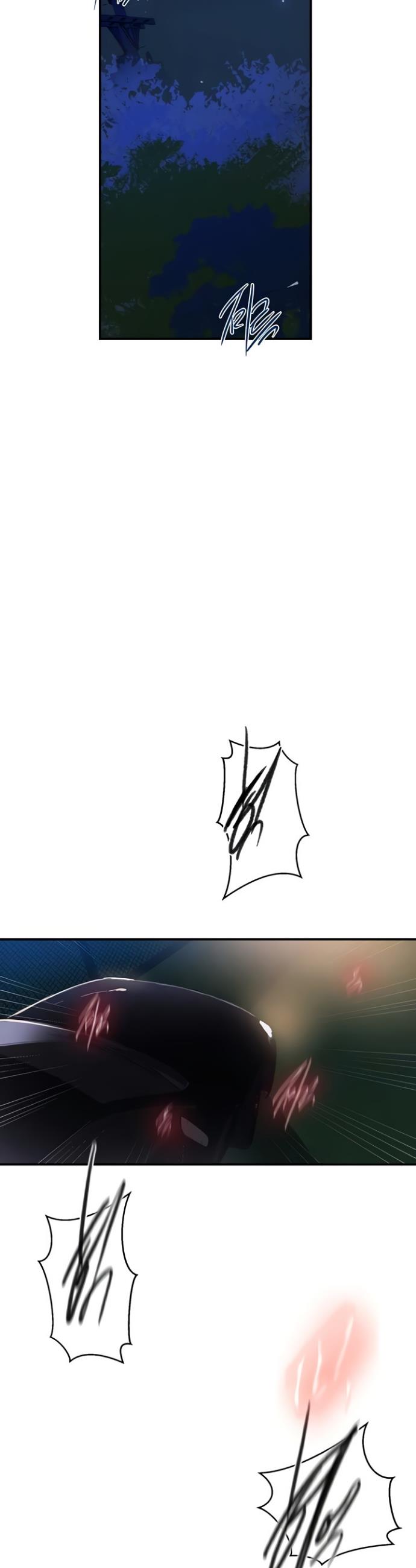 005.jpg