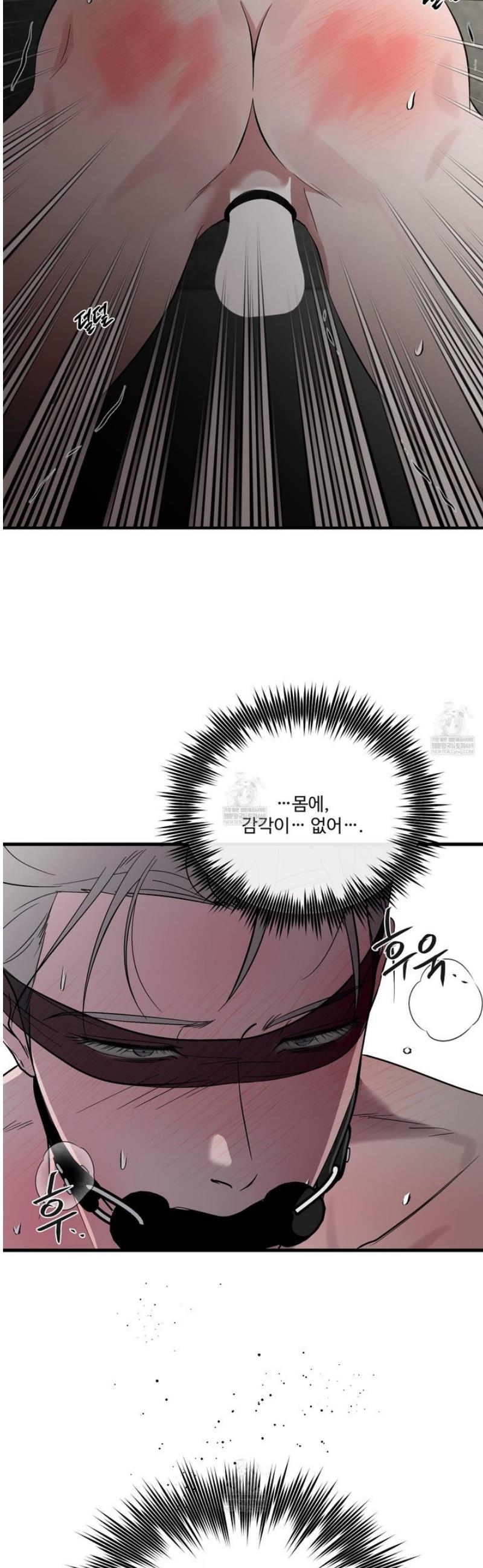 003.jpg