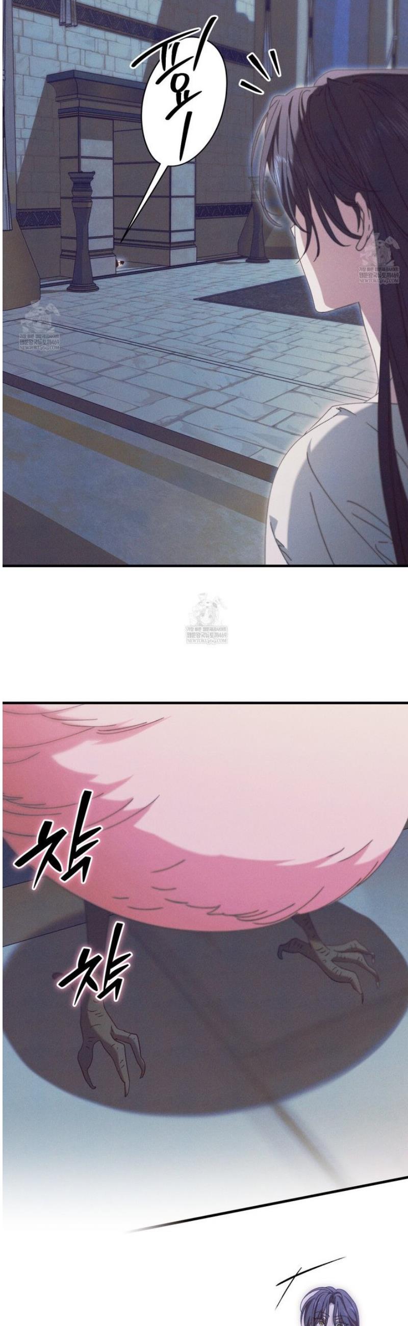 008.jpg