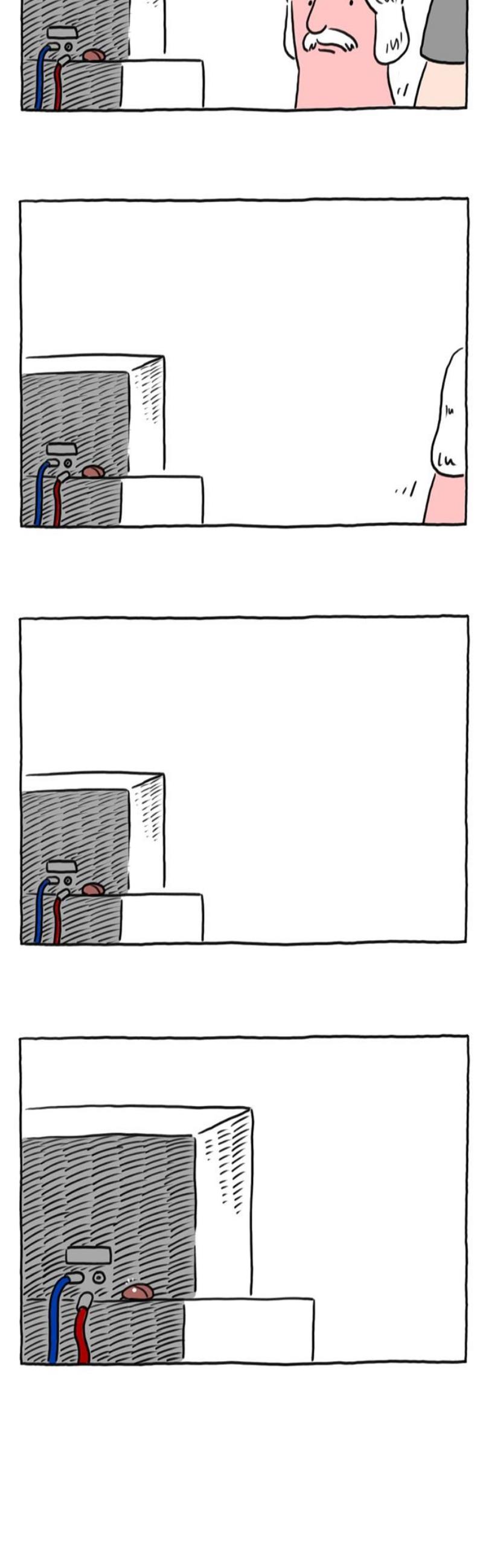 005.jpg