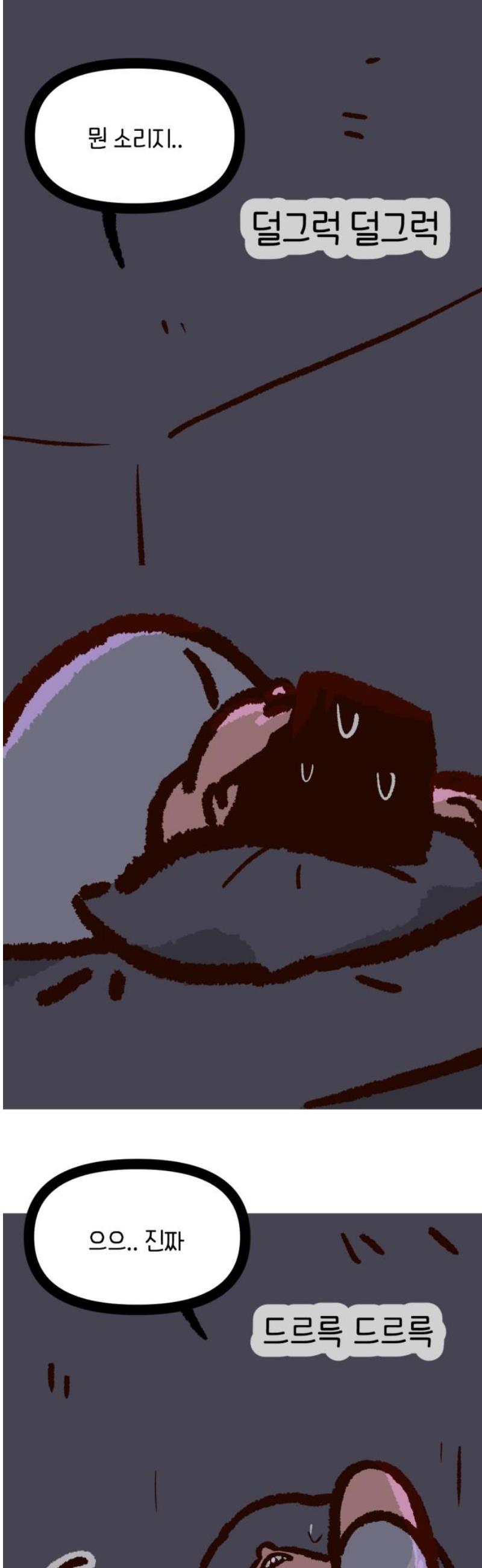 003.jpg