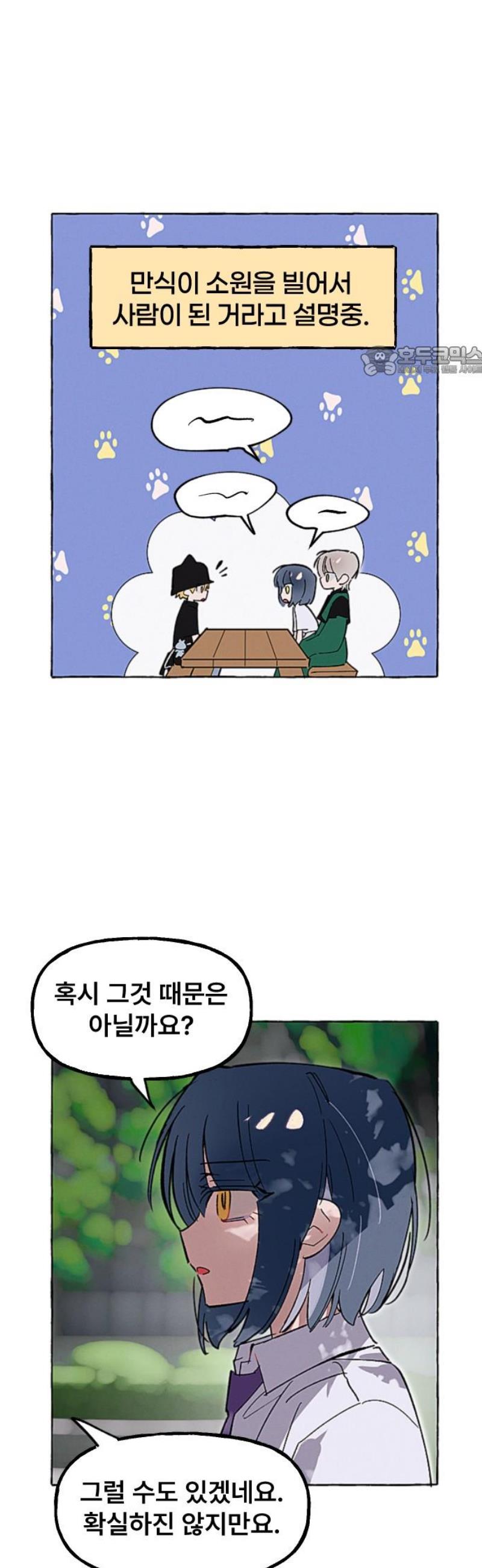 009.jpg