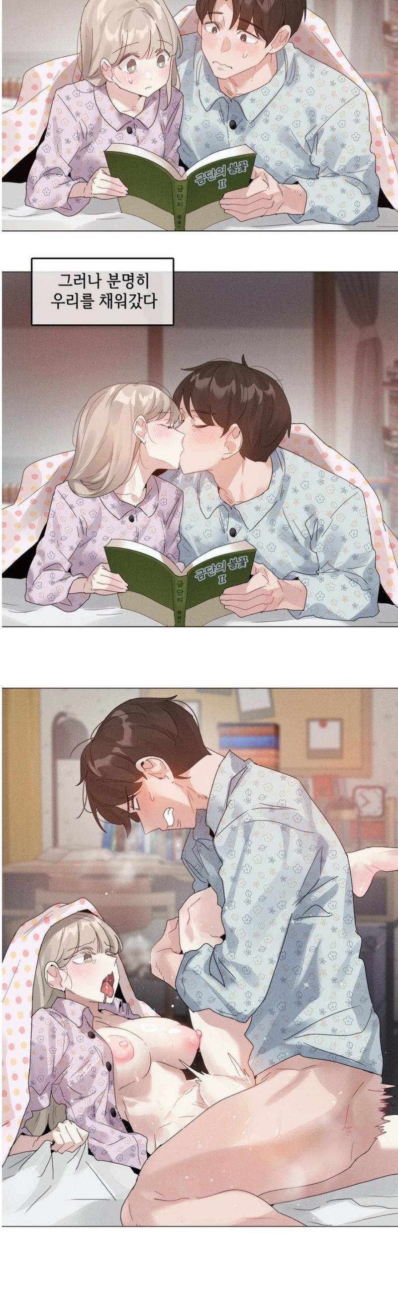 003.jpg
