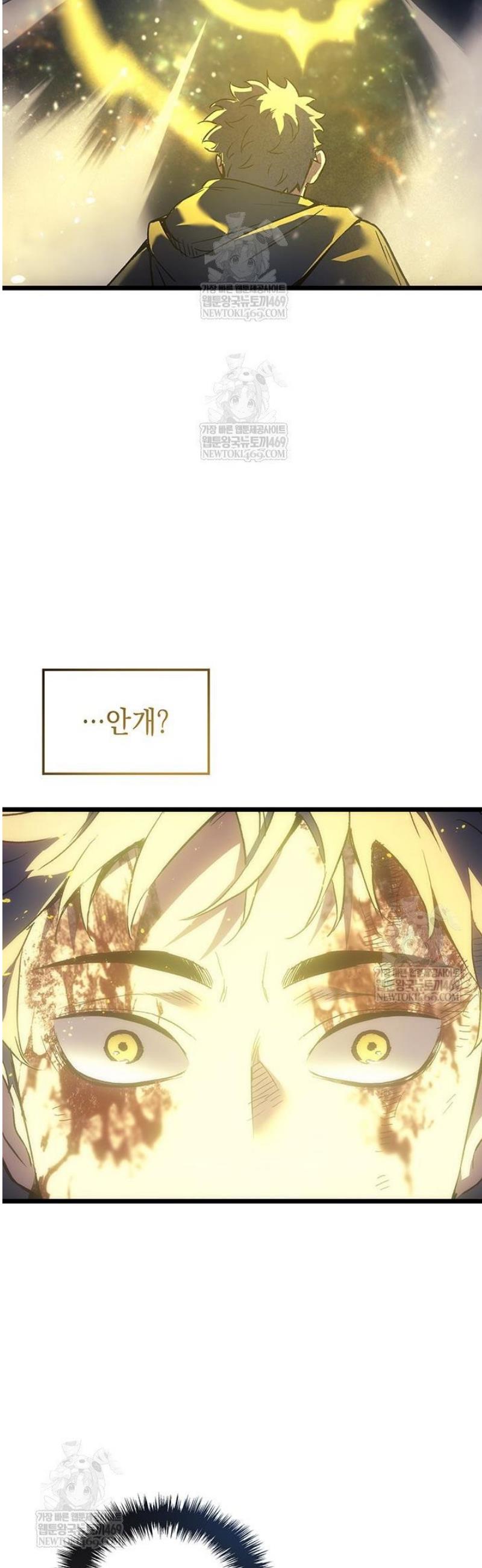 009.jpg