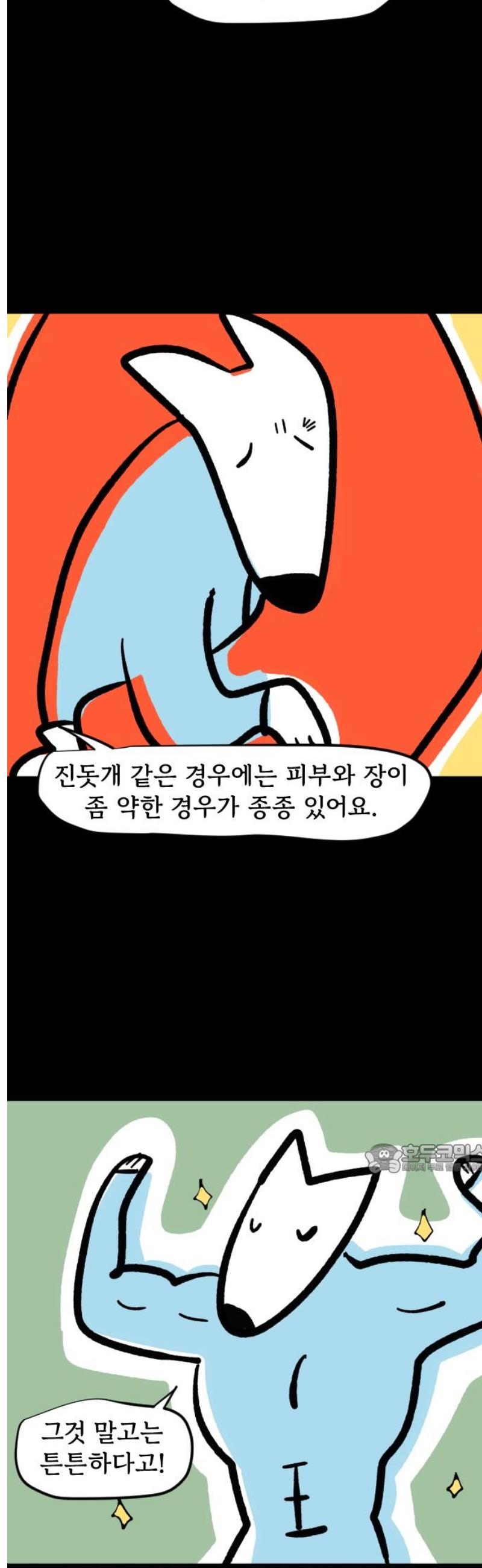 010.jpg