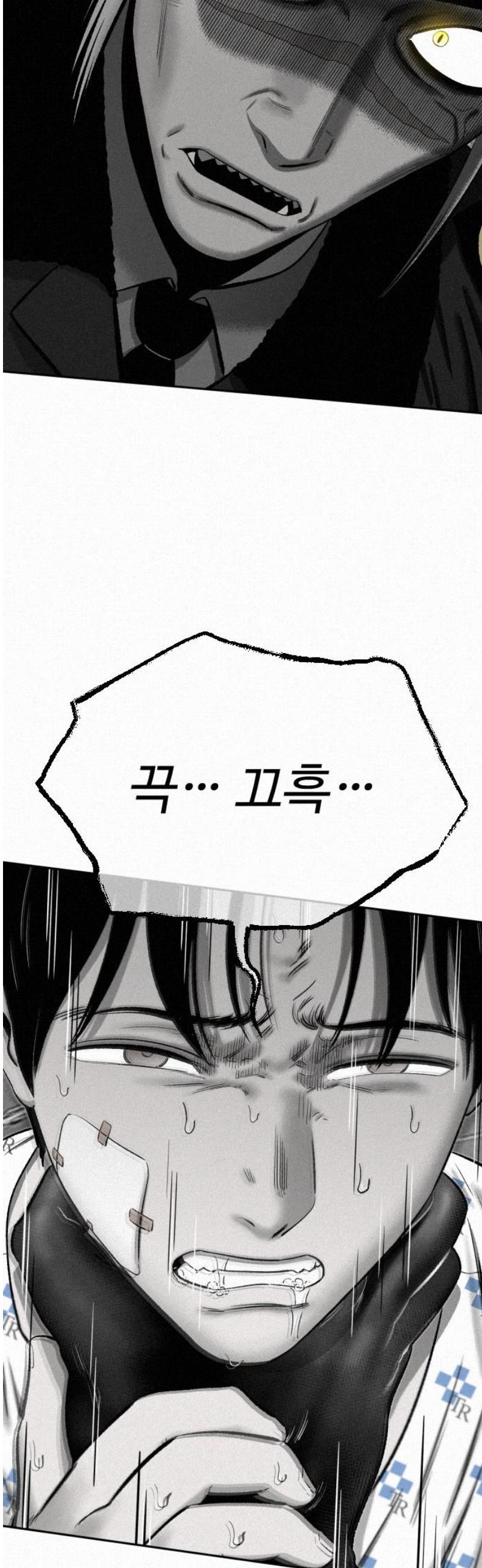003.jpg