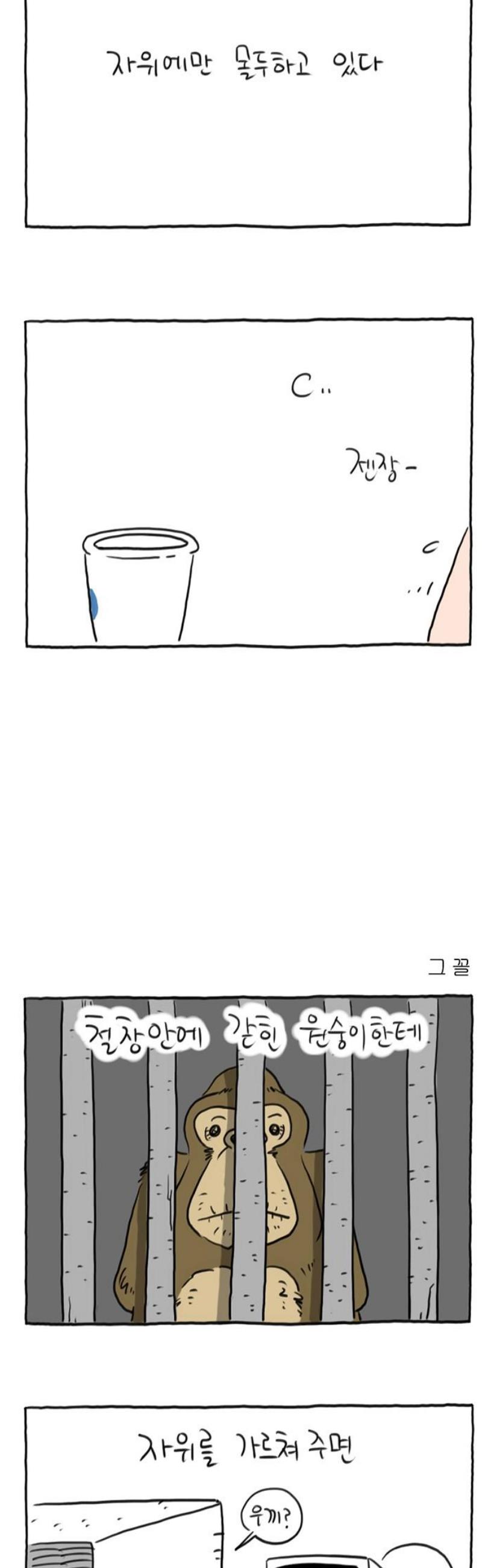 003.jpg