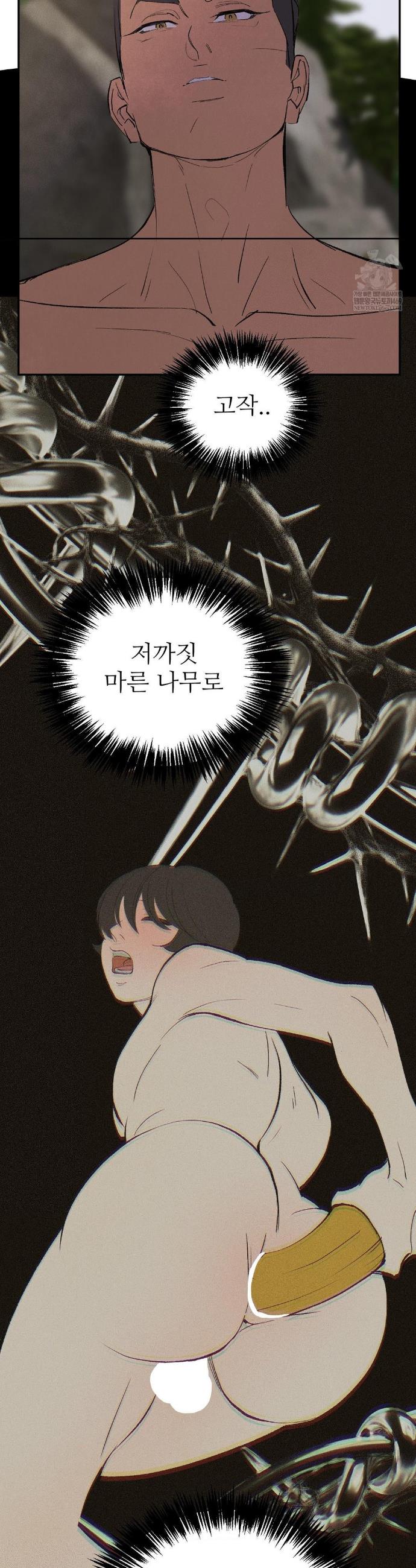 005.jpg