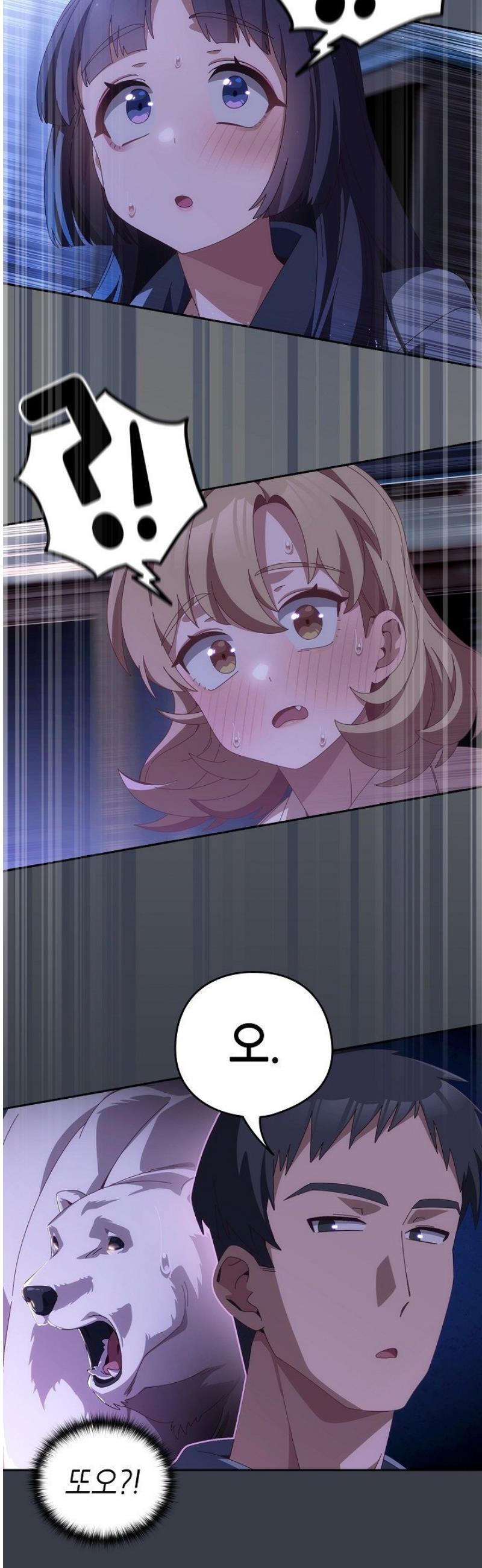 003.jpg