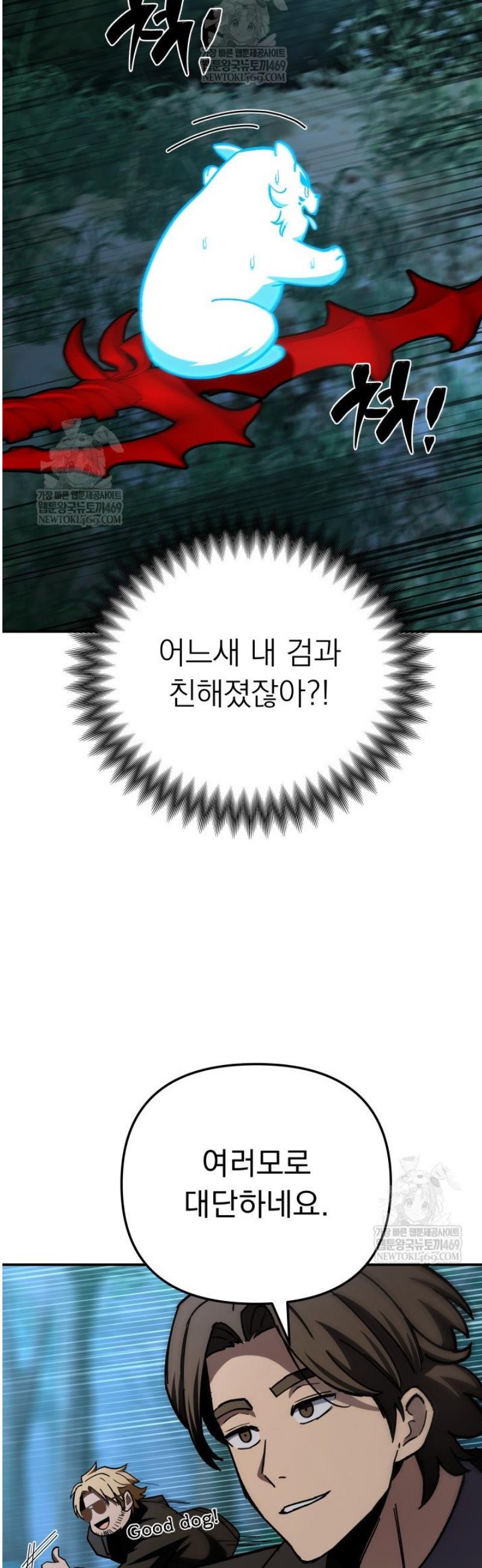 005.jpg