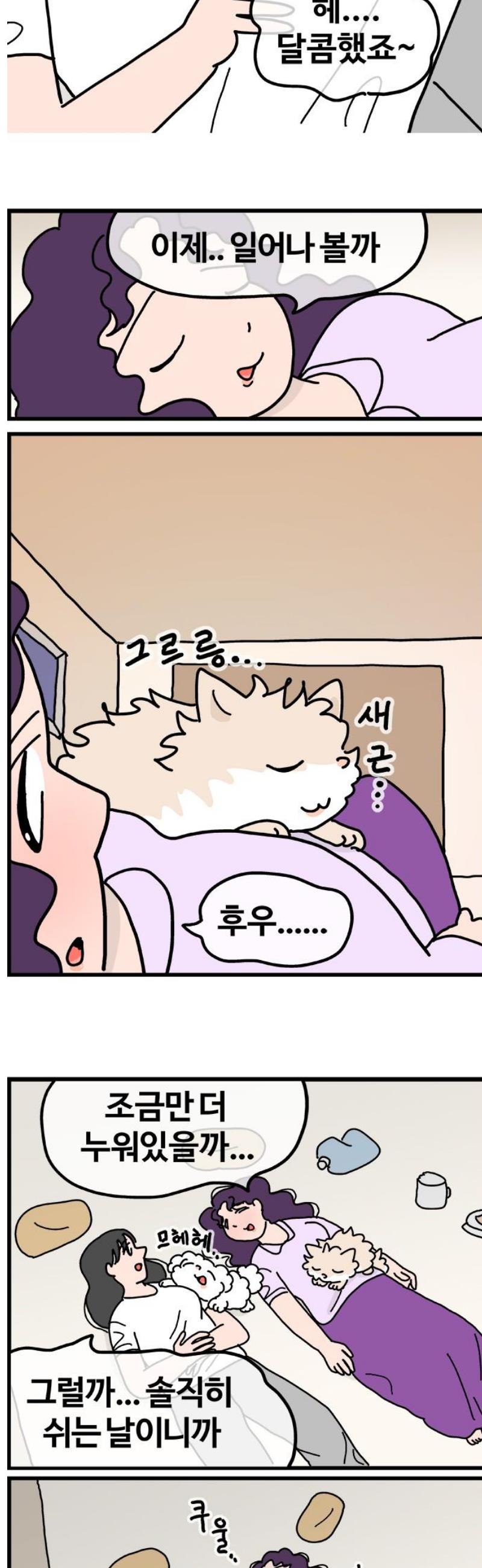 009.jpg