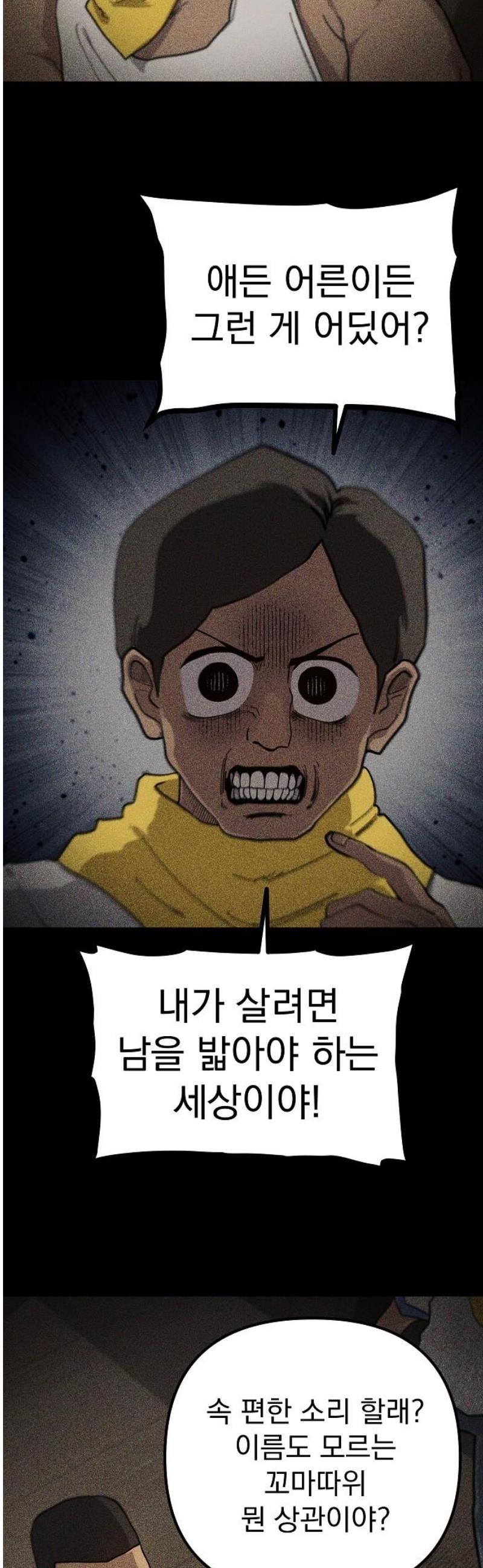 050.jpg