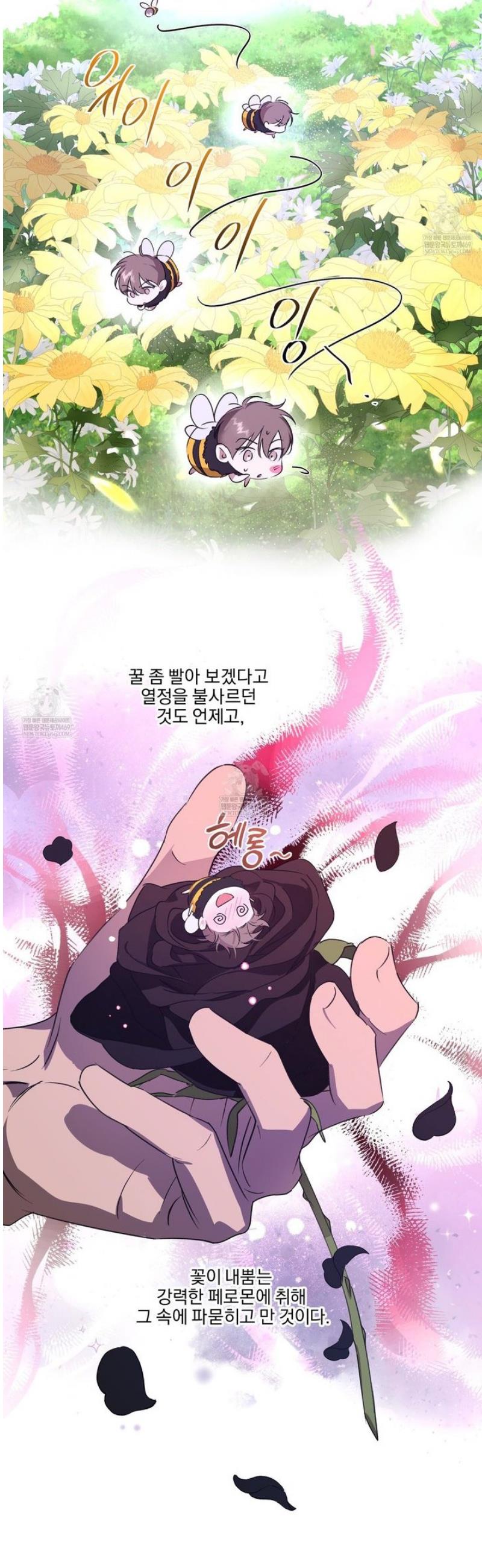 006.jpg