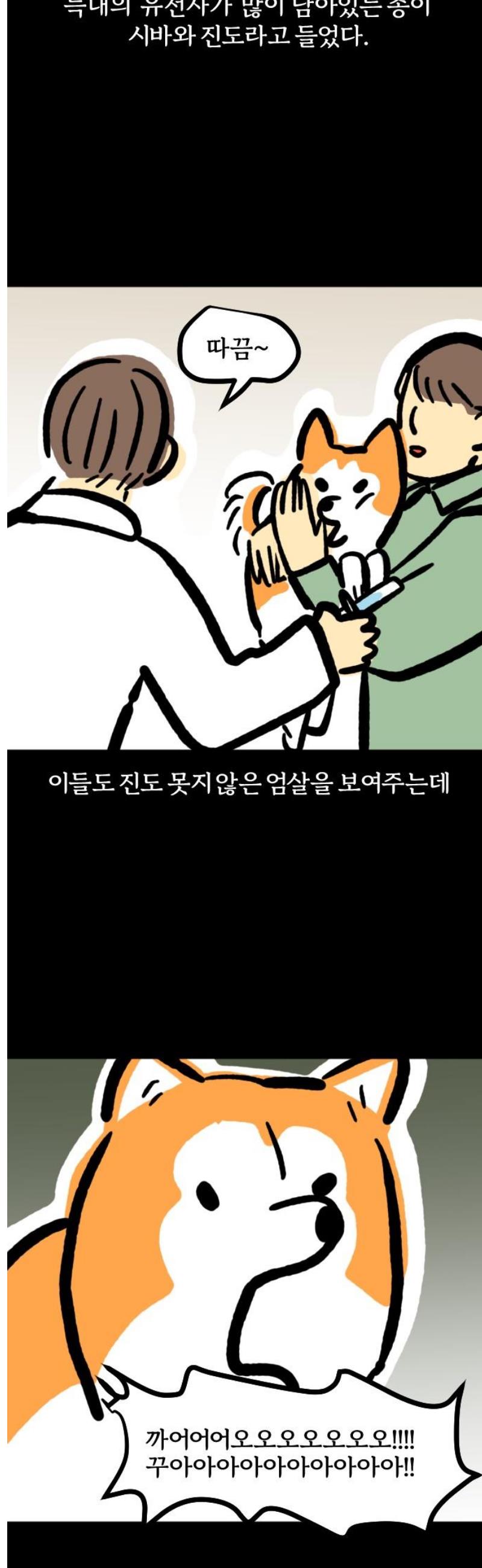 007.jpg
