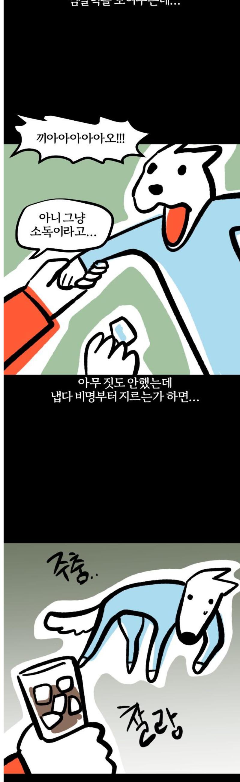 009.jpg