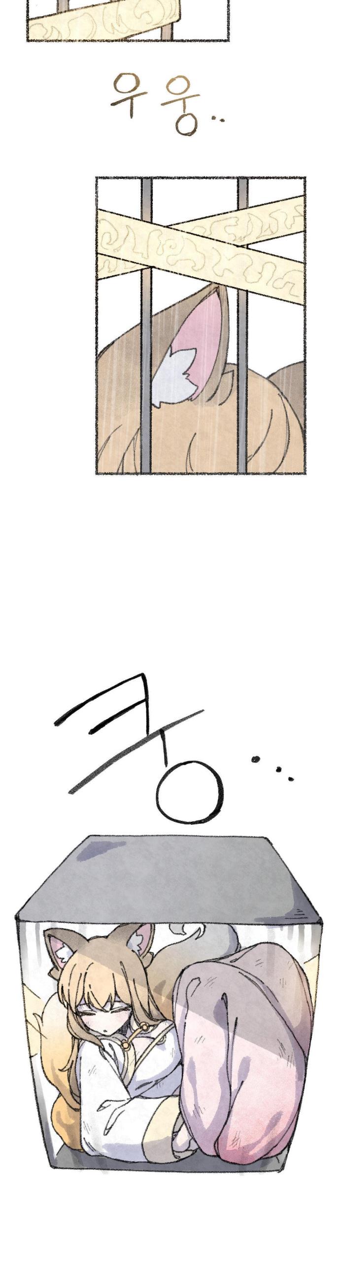 003.jpg