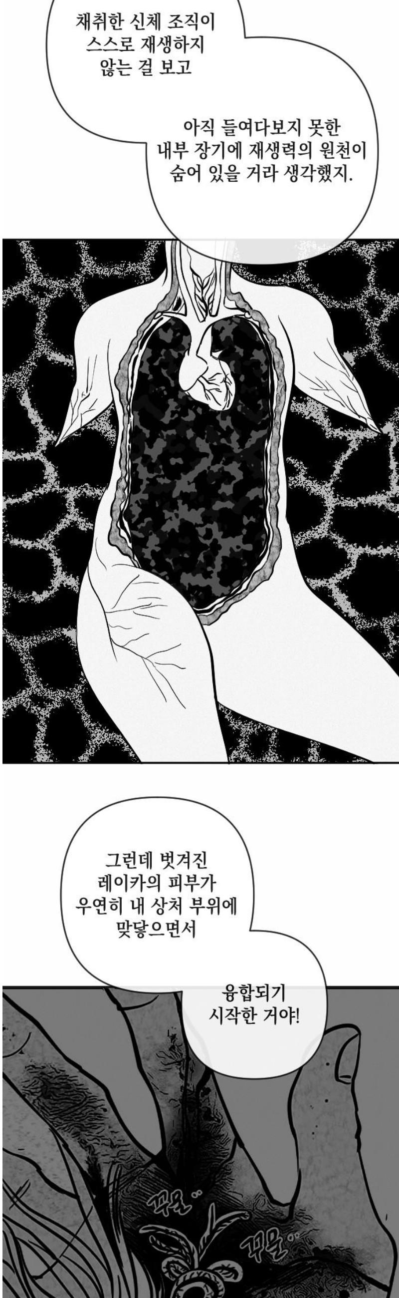 003.jpg